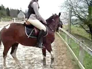 Moii et colo (6) en dressage