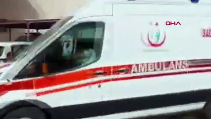 Tunceli'de dehşet! Babasını öldürüp, intihar etti