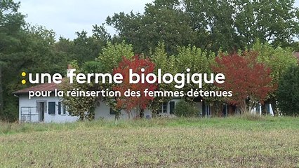 Dans les Landes, la réinsertion de détenues passe par l’agriculture bio