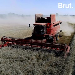 What We Learned From the IPCC’s Alarming Agriculture Report