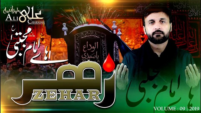 Noha Shahadat Imam Hassan 2019 - Ya Imam e Mujtaba - Taboot Hassan - Documentary- Nohay 2019 -AlVida