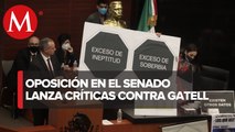 Entre protestas, pancartas y etiquetados, la comparecencia de López-Gatell en el Senado