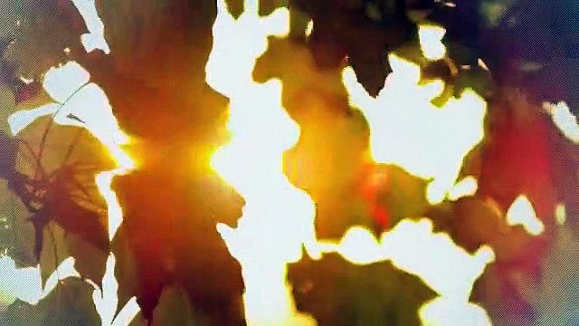 A vendre - Appartement - Vétroz (1963) - 4.5 pièces - 120m²