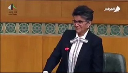 بالفيديو: نقاش طريف من صفاء الهاشم مع نائب عن تأشيرات السائقين