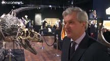 Le squelette d'un dinosaure vendu aux enchères à Paris