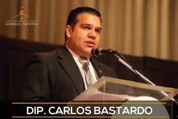 Bastardo: Ley antibloqueo pretende ser usada para "darle la estocada final" a las instituciones republicanas