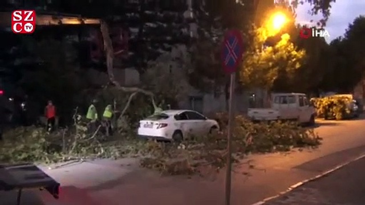 Şiddetli lodos hayatı felç etti