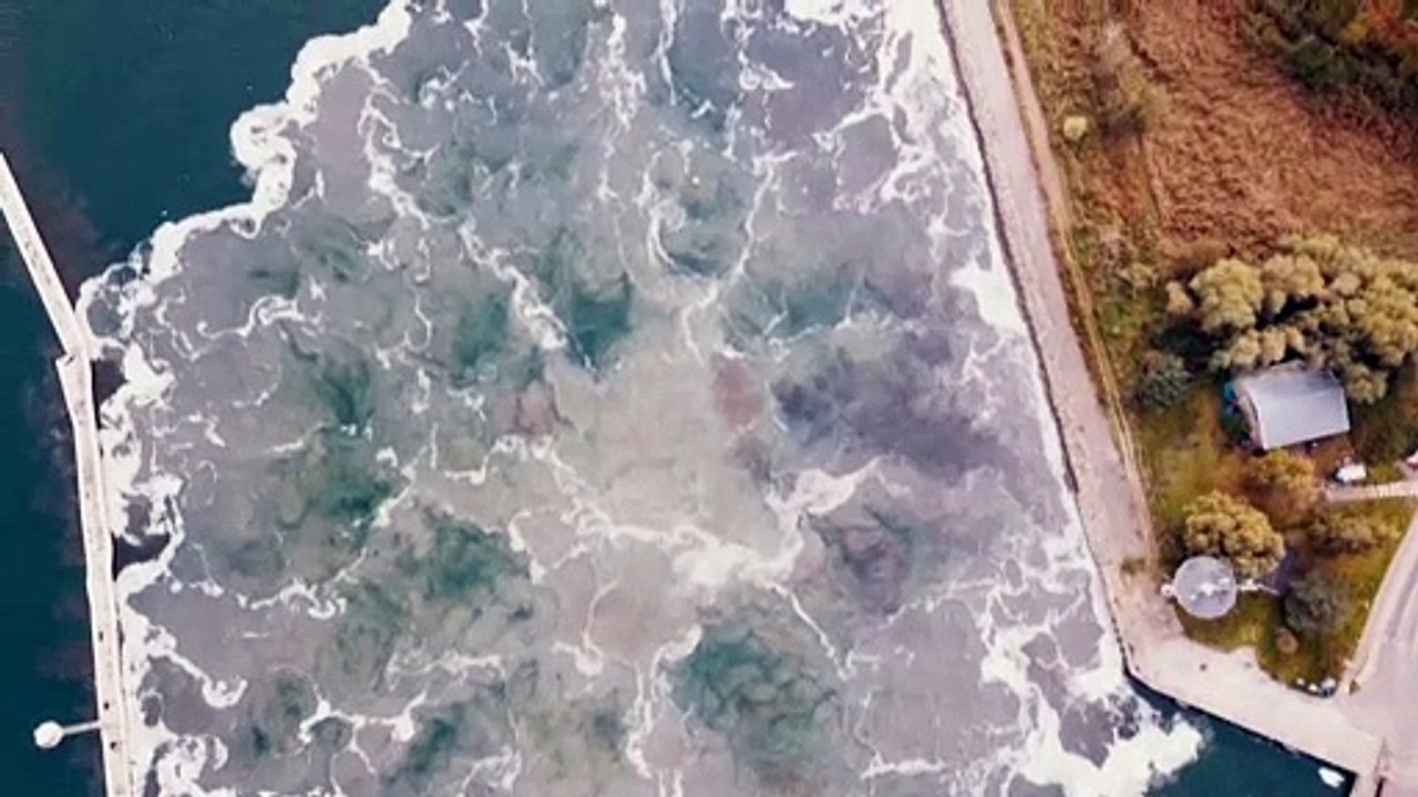 Polen: Britische Weltkriegsbombe unter Wasser gesprengt