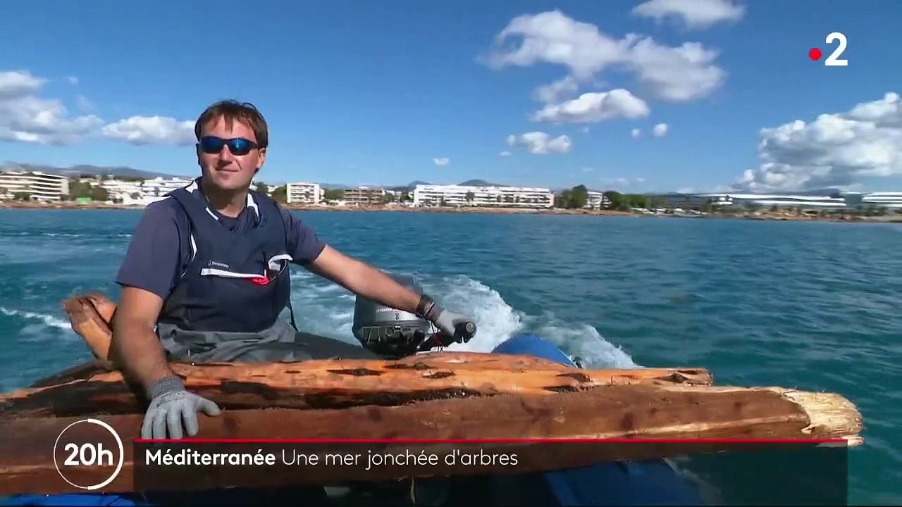 Alpes-Maritimes : la Méditerranée jonchée de bois après les intempéries