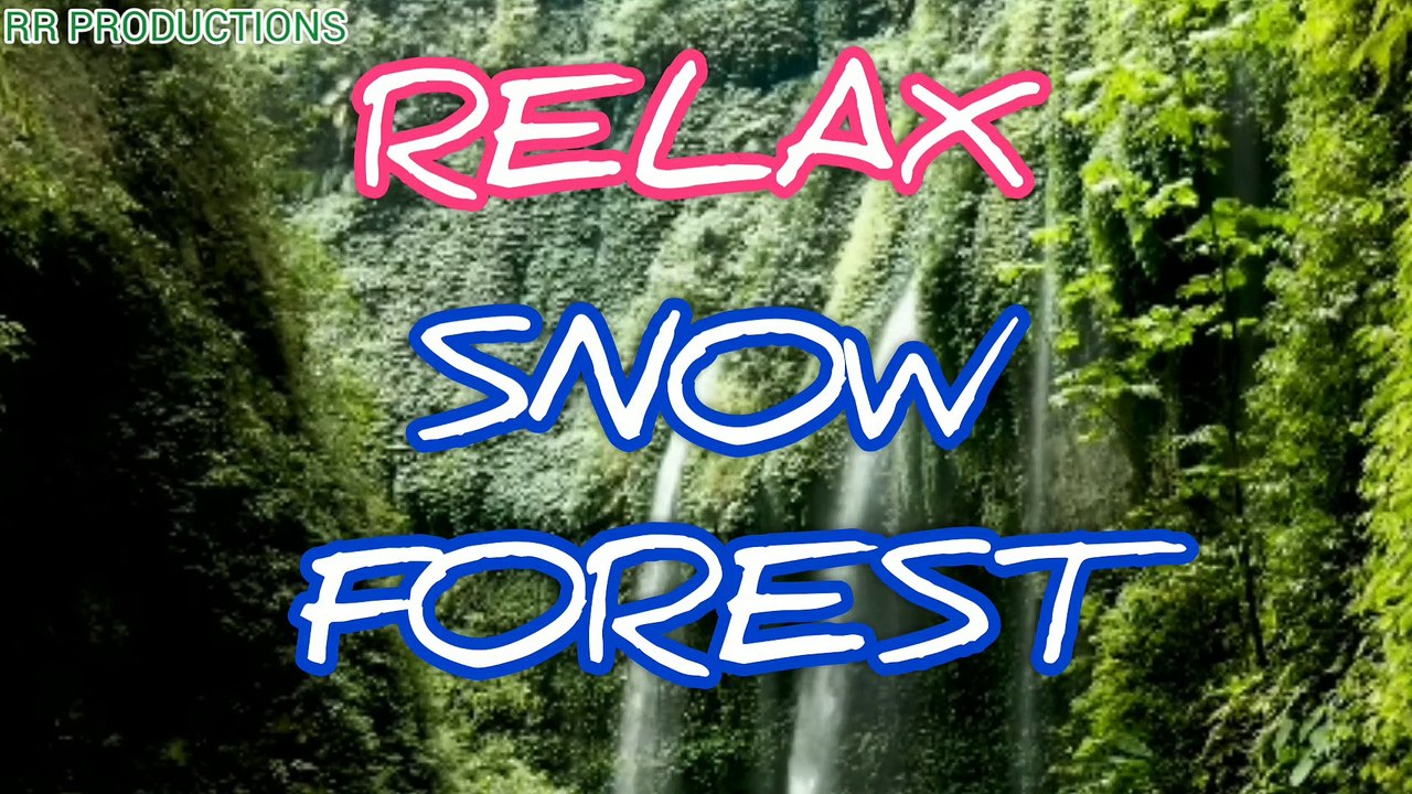 Relax music in Snow Forest