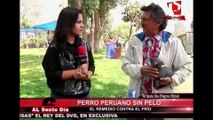 Perro sin pelo: más peruano que el Pisco para este frío invierno