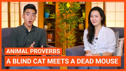 Animal Proverbs: A Blind Cat Meets A Dead Mouse | Intermediate Lesson | ChinesePod (v)