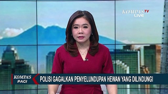 Polisi Gagalkan Penyelundupan Satwa Langka yang Dilindungi dari Malaysia