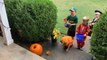 Guy Distributes Halloween Treats To Kids While Maintaining Social Distancing Amidst Coronavirus