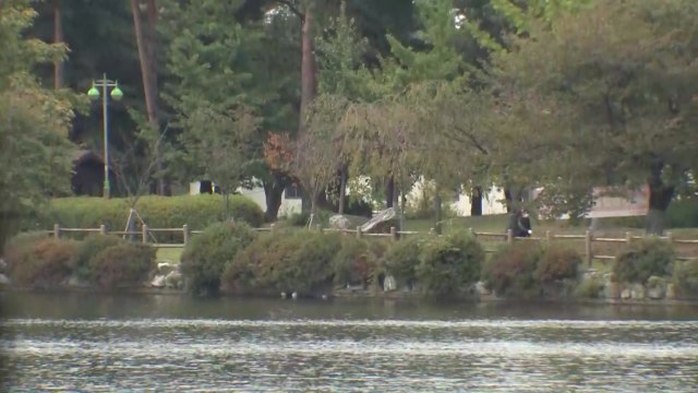 [날씨] 찬 바람 불며 쌀쌀...동해안 너울성 파도 / YTN