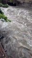 भारी बारिश से हैदराबाद में बाढ़ जैसे हालात, 14 लोगों की मौत, पढ़िए बड़ी खबरें