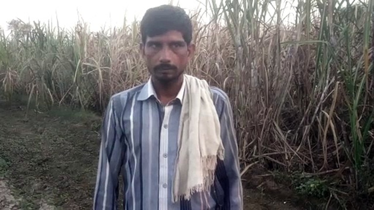 शुगर मिल की बड़ी लापरवाही, केमिकल रहित गंदे पान...