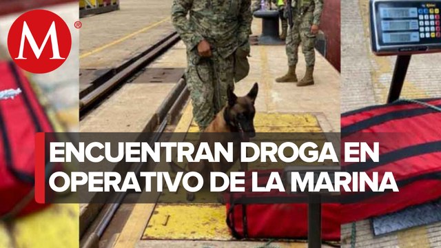 SEMAR decomisa 37 kilos de cocaína en Lázaro Cárdenas