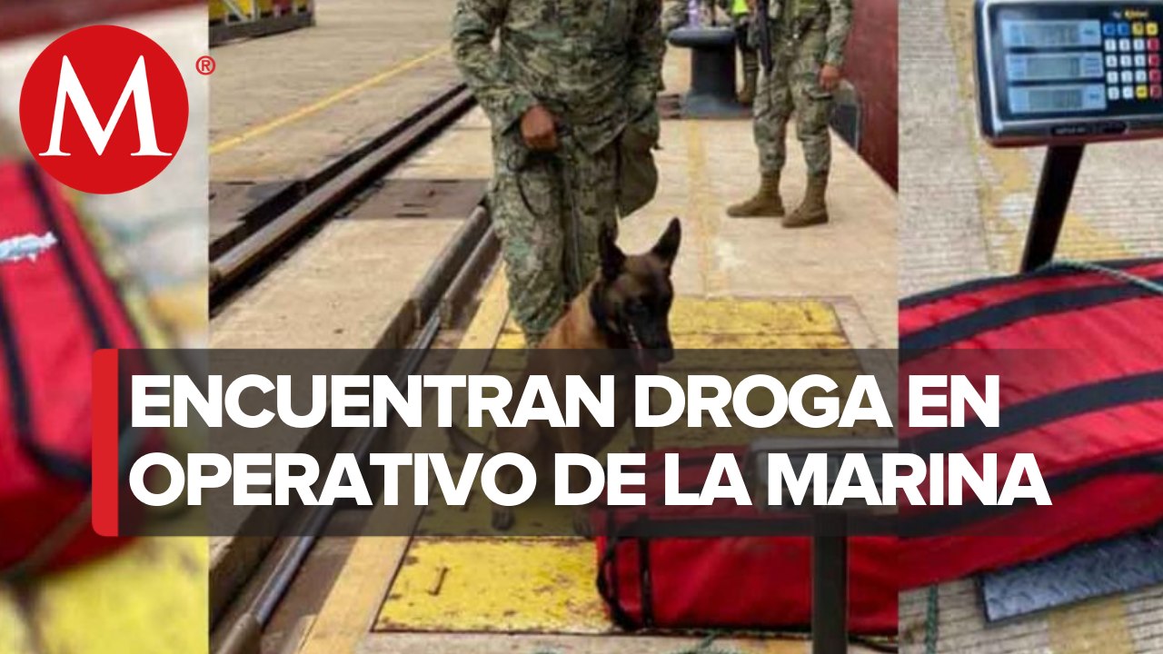 SEMAR decomisa 37 kilos de cocaína en Lázaro Cárdenas