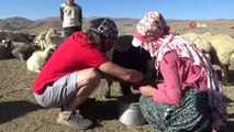 İtalyan turist Hakkari'de koyun sağıp, inşaatta çalışıyor