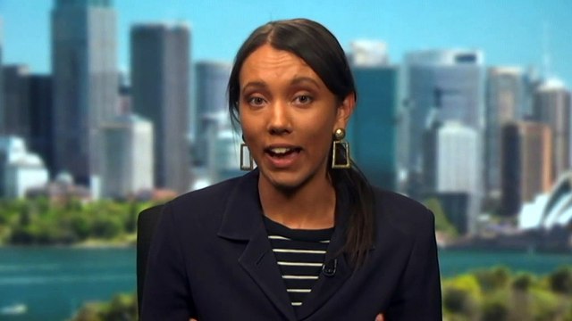 Senate inquiry rejects calls for Government to acquire Aboriginal flag