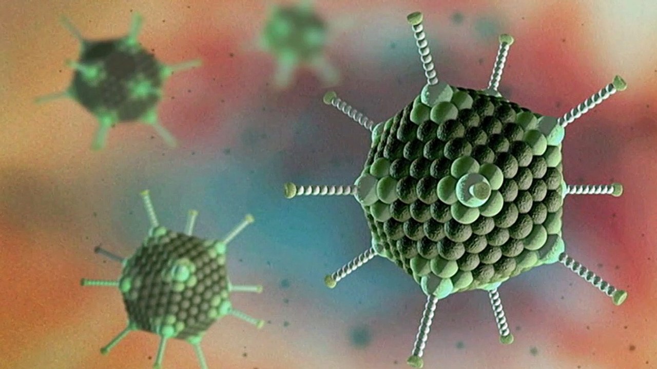 Qld researchers use common cold virus to kill skin cancer