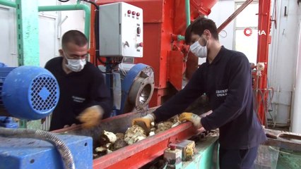 Eskişehir Şeker Fabrikasından tarihi rekor