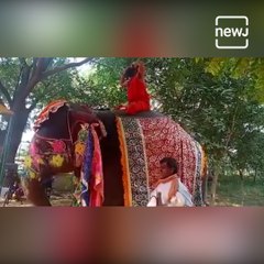 ‘Inspired By Indian Economy’: Netizens React To Yoga Guru Baba Ramdev Falling Off An Elephant