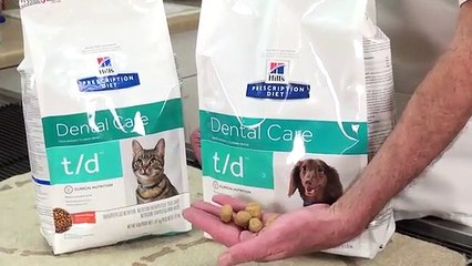 Get Professional Pets Dentist at Westside Pet Hospital