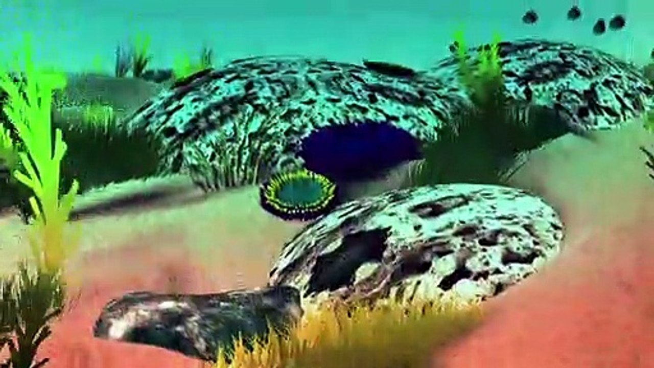 Videografik: Das Great Barrier Reef - bedrohtes Naturwunder