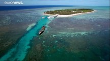 Australie : le réchauffement tue la Grande Barrière à petit feu, 50% du corail disparu en 25 ans