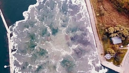 Explosión controlada de una bomba gigante de la II Guerra Mundial en Polonia