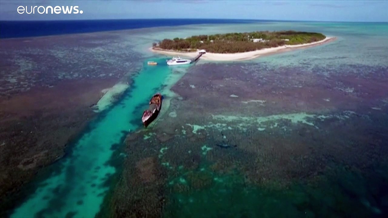 Australie : le réchauffement tue la Grande Barrière à petit feu, 50% du corail disparu en 25 ans