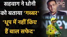 IPL 2020: Virender Sehwag ने MS Dhoni को बताया Gabbar, जानें तारीफ में क्या कुछ कहा | वनइंडिया हिंदी