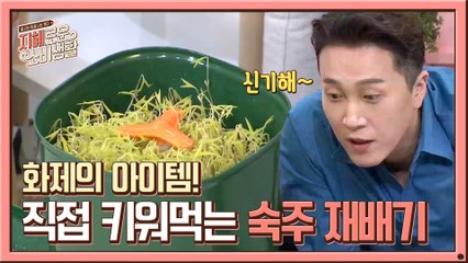 화제의 아이템! 이젠 숙주 재배기로 집에서 키워보자~!