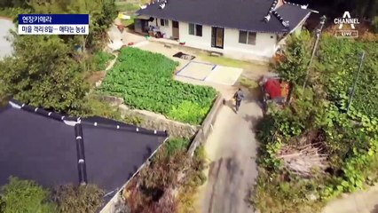 [현장 카메라]‘집단 격리’ 양지마을…“한창 추수 때인데”