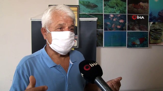 Doğu Akdeniz’e artık Kızıldeniz balık türleri hakim