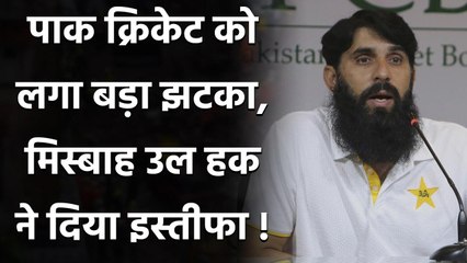 Misbah ul Haq to step down as Pakistan chief selector post continue as head-coach | Oneindia Sports