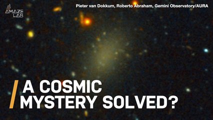 Mystery Solved! Here’s Why Galaxy DF44 Isn’t Actually Made of 99.99% Dark Matter