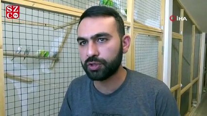 Türkiye’ye muhabbet kuşu üretiyor