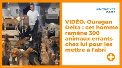 VIDÉO. Ouragan Delta : cet homme ramène 300 animaux errants chez lui pour les mettre à l'abri