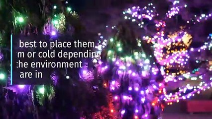 6 Decorations for your Christmas tree