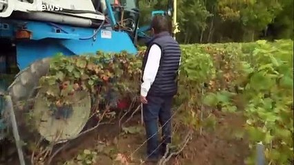 Fizzling out: Champagne sales down as coronavirus pandemic rumbles on