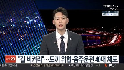 "길 비켜라"…도끼 위협·음주운전 40대 체포