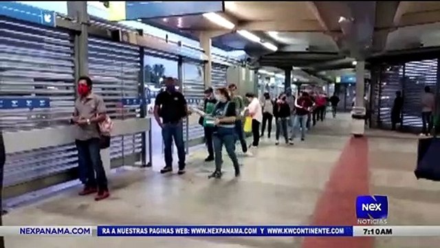 Entrevista a Jose Ortega, Jefe de informacion de MiBus - Nex Noticias