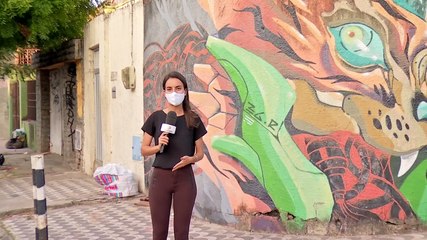 Grafite se incorpora a paisagem da capital cearense