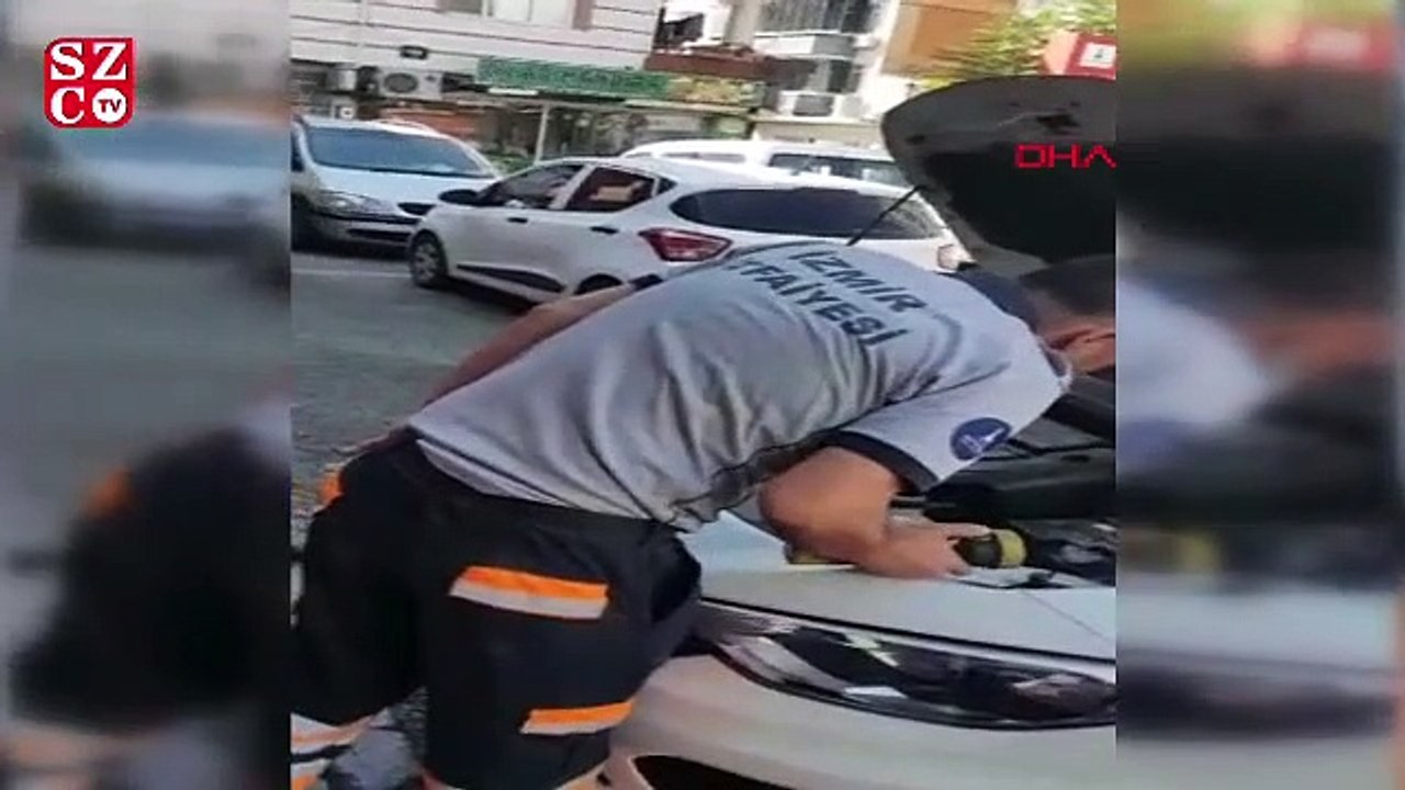 Farklı günlerde seyir halindeki otomobilin kaputundan çıkan yılan, otomobilin içinde bulunamıyor