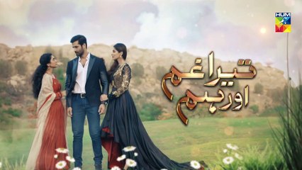 Tera Ghum Aur Hum Episode 31 HUM TV Drama 14 October 2020