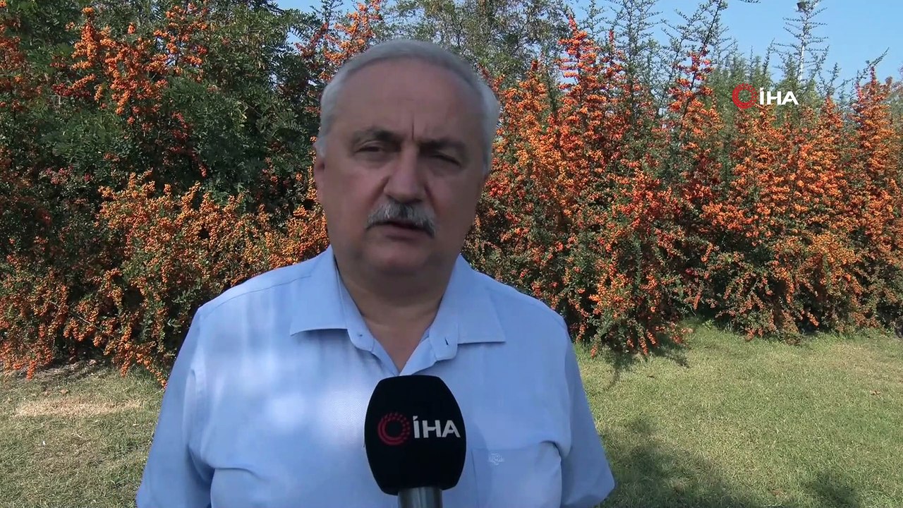 Kızılırmak Deltası'nda korkutan görüntü
