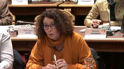 Sandrine HILY. Réponses aux voeux (voeu traité de libre-échange UE-Singapour). Session du 13 octobre 2020